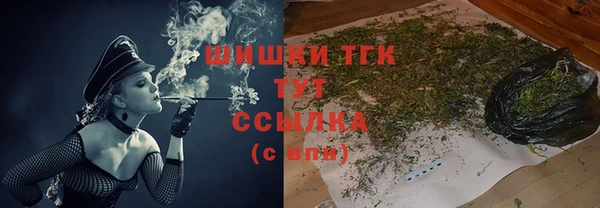 сатива Аркадак