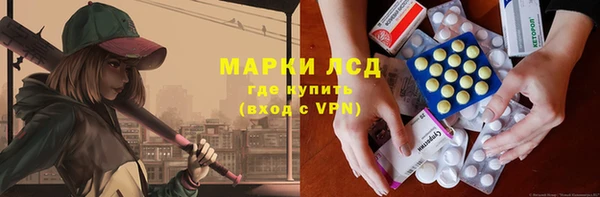 сатива Аркадак