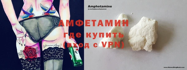 сатива Аркадак
