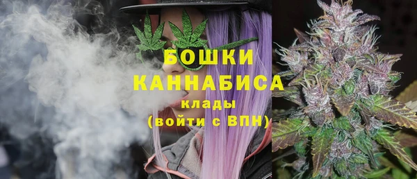сатива Аркадак