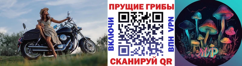 продажа наркотиков  Соликамск  Псилоцибиновые грибы Cubensis 